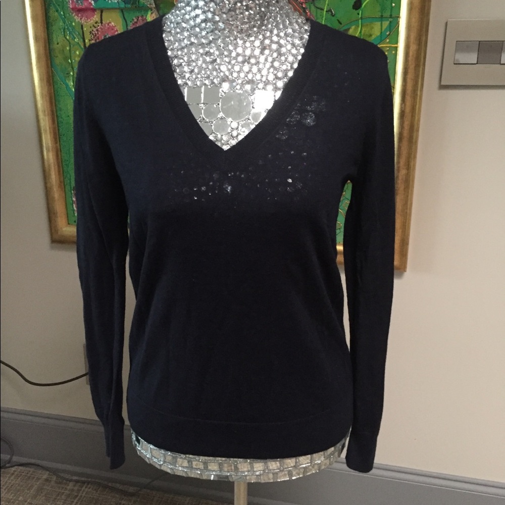 NWT wool vneck sweater